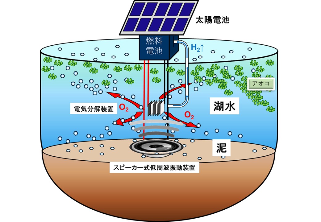 水中スピーカーの低周波振動を応用した有害アオコ制御装置の実用化