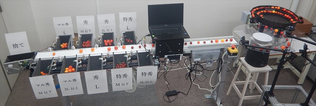 AI技術を搭載したサクランボ自動選果機の研究開発