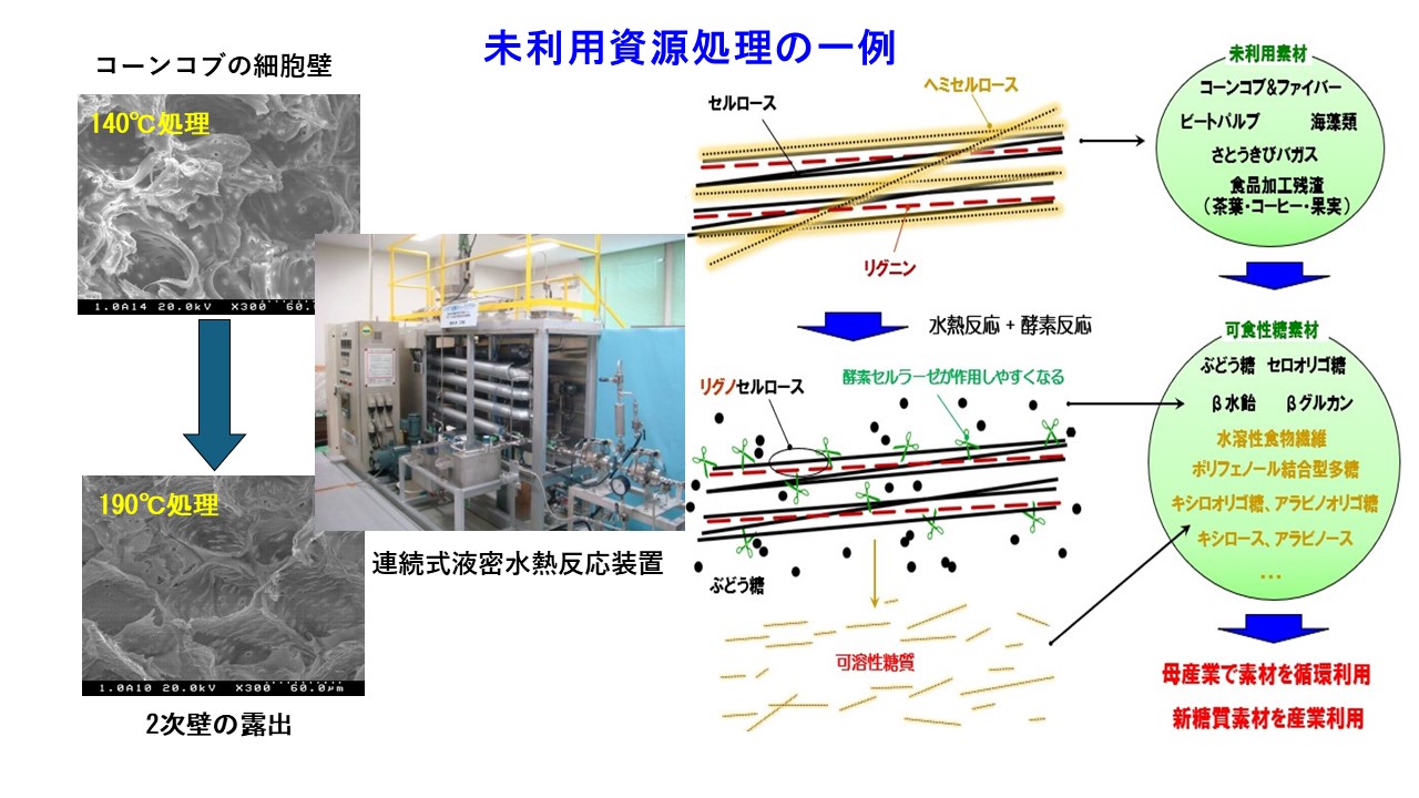 アップサイクル用水熱・酵素技術を活用した地域資源循環による新規産業創出