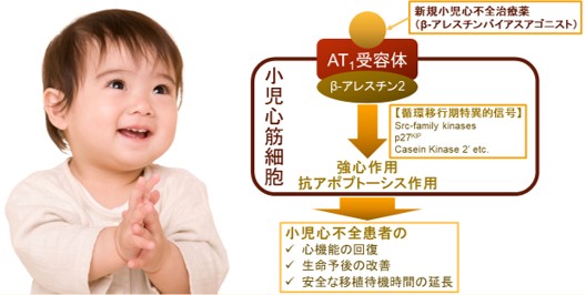 βアレスチンバイアスアゴニストの小児心不全治療薬としての社会実装