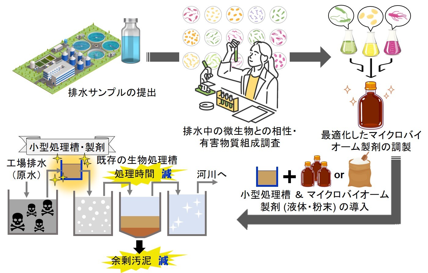 有害物質を高速分解する微生物群を利用した持続可能な低コスト・高効率排水処理技術の創生