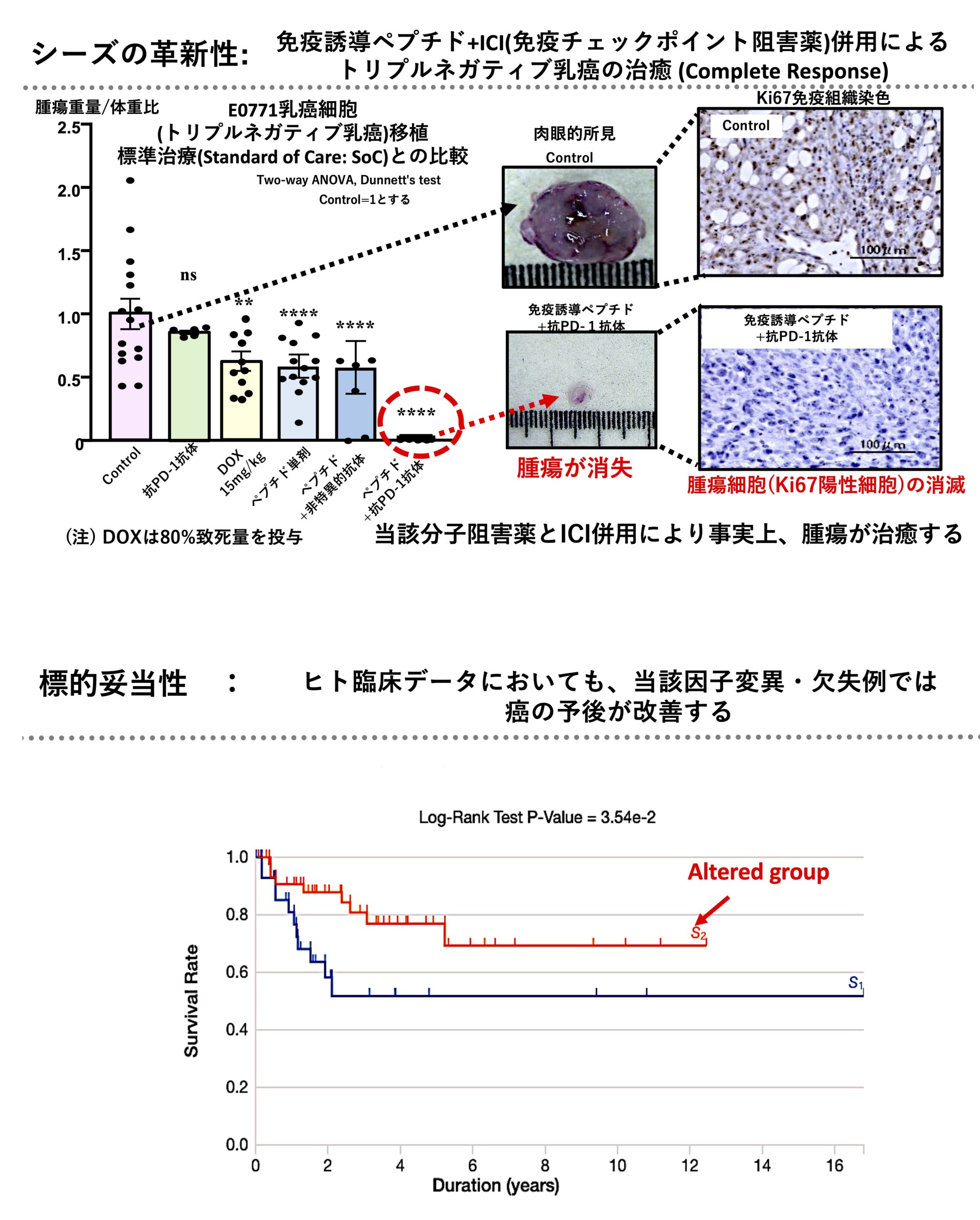 腫瘍微小環境を正常化し、難治性がんを完治に導く革新的治療薬の開発